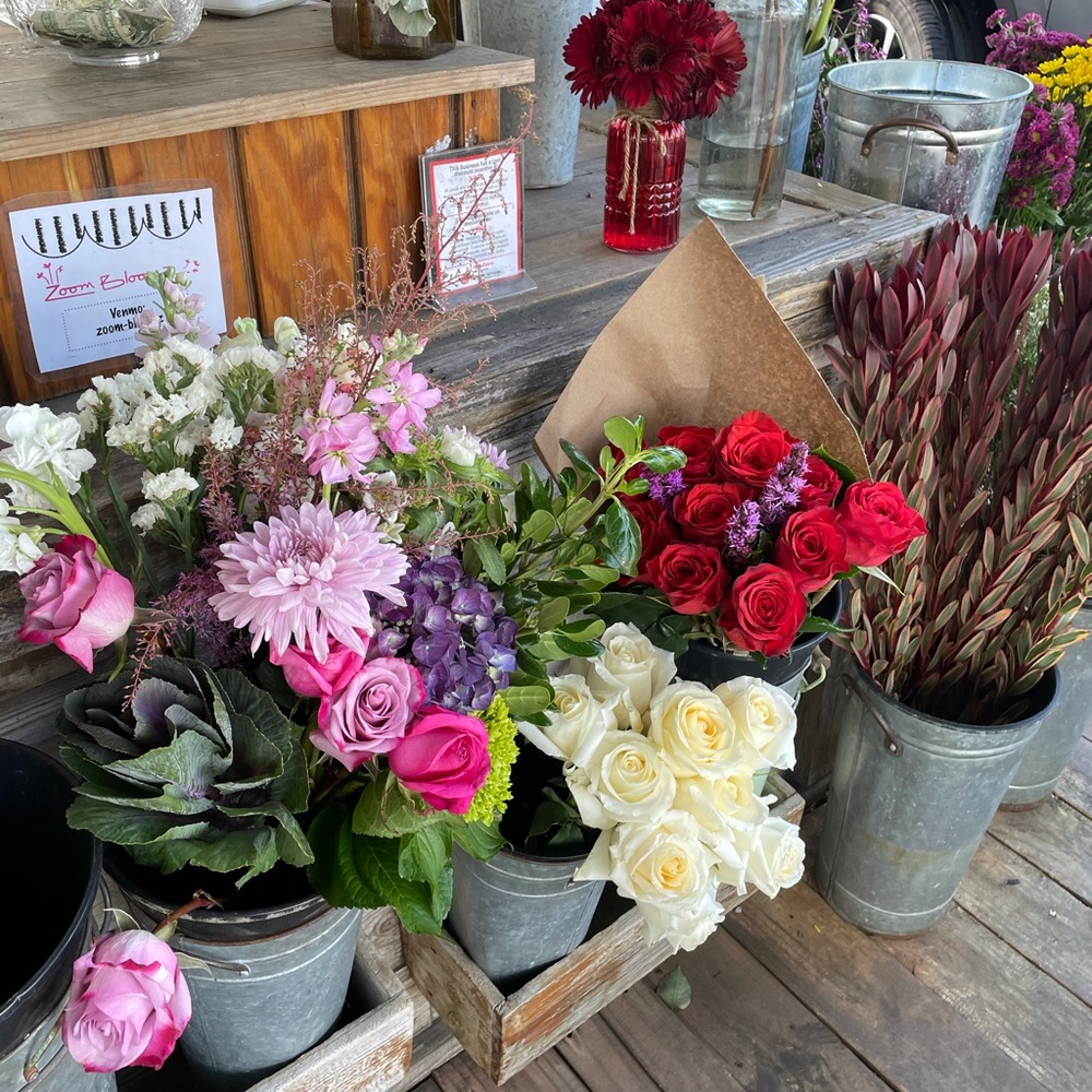 Meet your Posher, Lisa